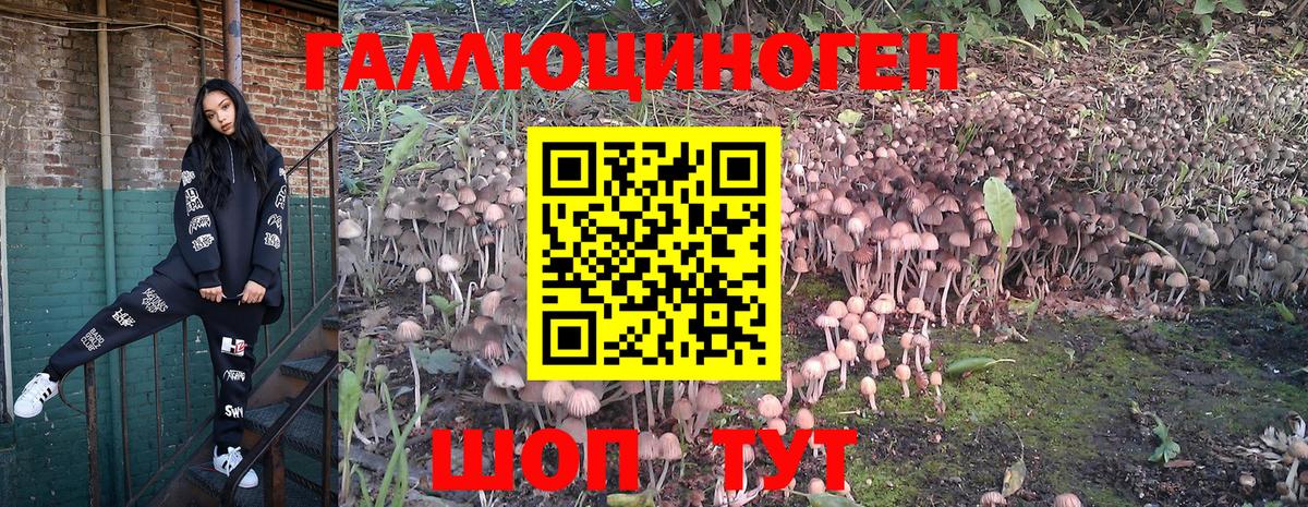 Галлюциногенные грибы ЛСД  Вход с VPN  Березники 